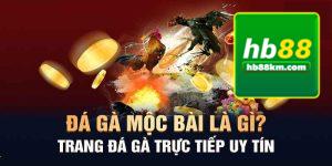 Đá gà mộc bài là gì?