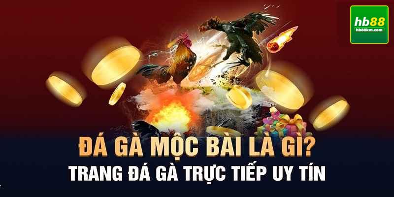 Đá gà mộc bài là gì?